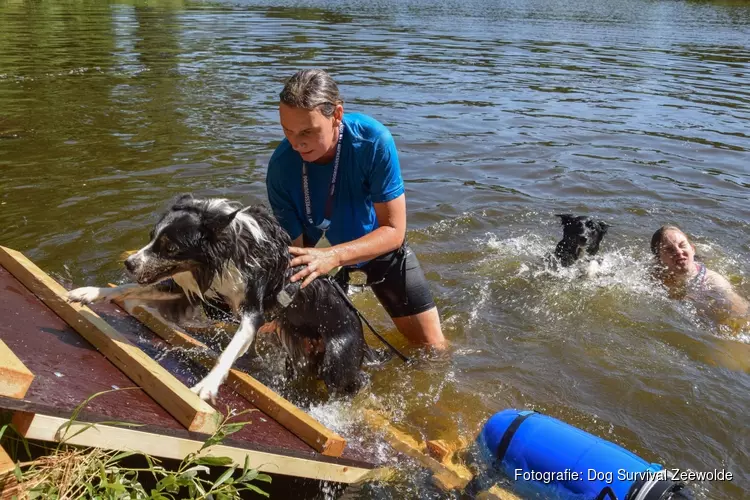 Dogsurvival Zeewolde – Zaterdag 6 juli Samen met je hond klimmen, kruipen en zwemmen