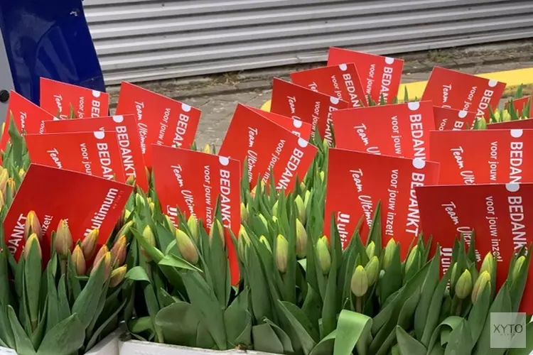 5000 tulpen van Ultimum als dank voor medewerkers Flevoziekenhuis