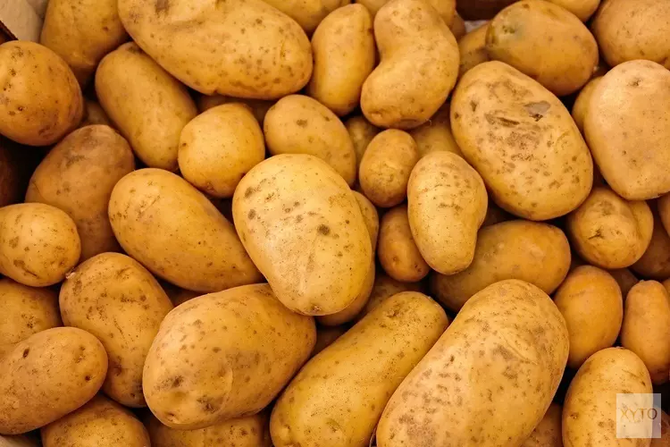 Duizenden kilo&#39;s aardappels te redden op Nationale Aardappelberg Dag in Almere en Lelystad.