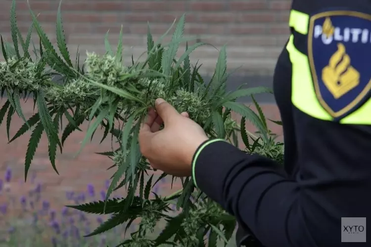 Politie rolt hennepkwekerij op in Bloemenbuurt