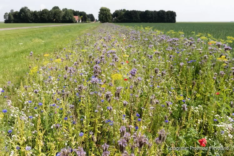 Flevoland versterkt komende jaren de biodiversiteit