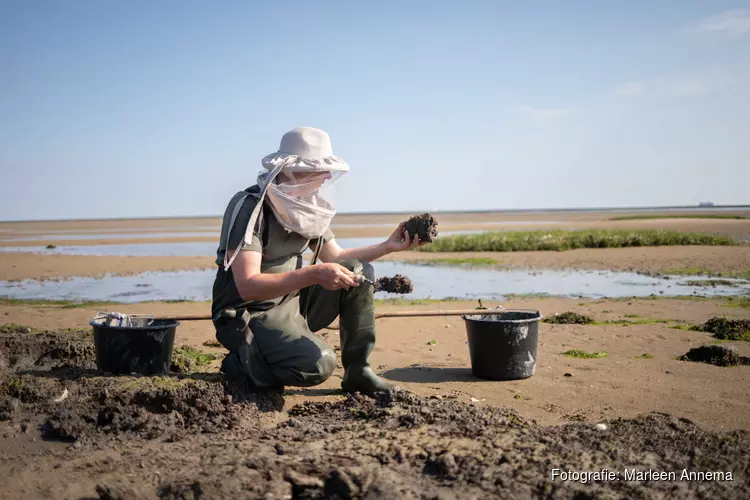 Doe mee met de zomersessies van de Veldacademie bij StrandLAB