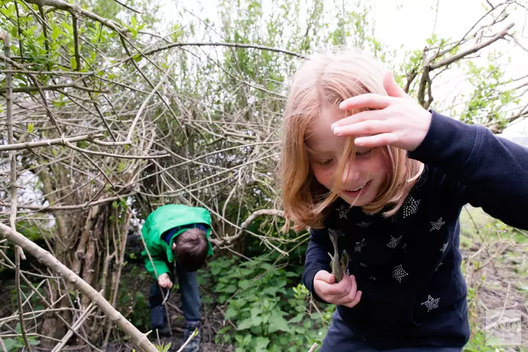 Spetterend einde aan poepzomer Stad & Natuur met Zomerfestival