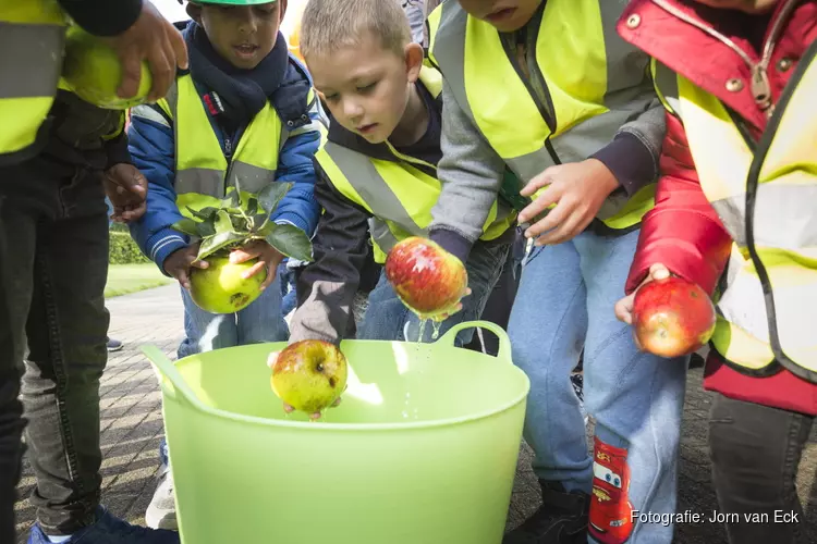 Schoolklassen komen appels plukken bij Stad & Natuur