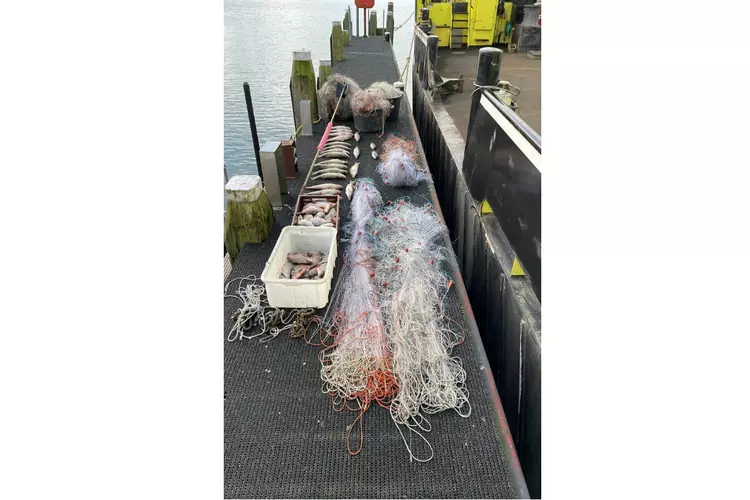 OFGV ontdekt visnetwerk van 2000 meter lang