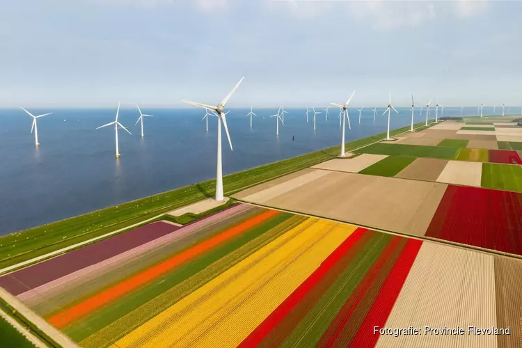 Flevolandse windmolens in het buitenland