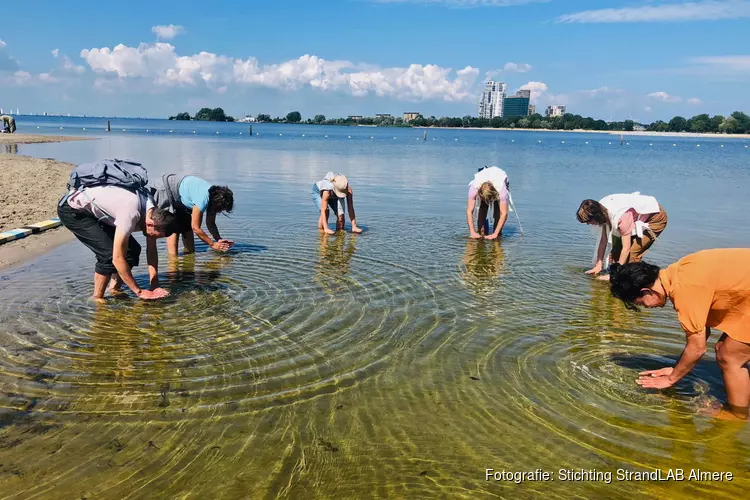 Ontdek je zintuigen tijdens de Veldacademie zomersessies