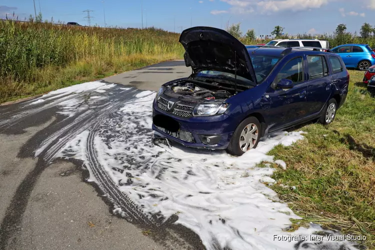 Gestolen auto vliegt in brand in Almere