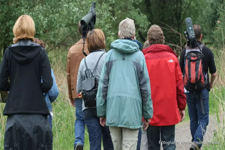 Groen Flevoland Festival