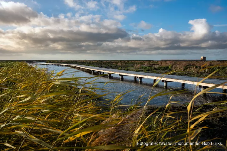 Unieke winterexcursies op Marker Wadden