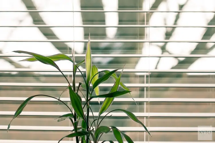 4 Redenen om Zonwering Plaatsen om Energie te Besparen