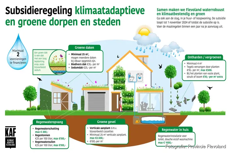 Nieuwe subsidieregeling voor het klimaatbestendig maken en vergroenen van tuinen en daken