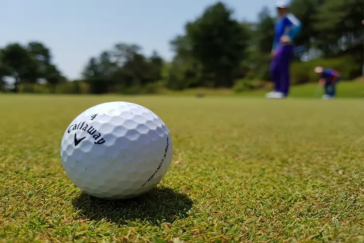 Golfers met een fysieke beperking gaan de strijd met elkaar aan tijdens de Dutch Disabled Open op Golfclub Almeerderhout