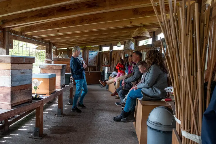 Bijen- en insectendag op de Kemphaan