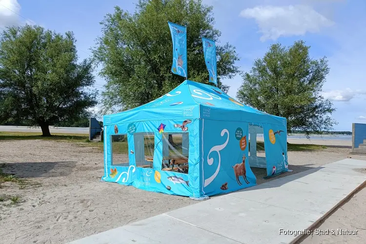 Het Almeerderstrand bruist deze zomer