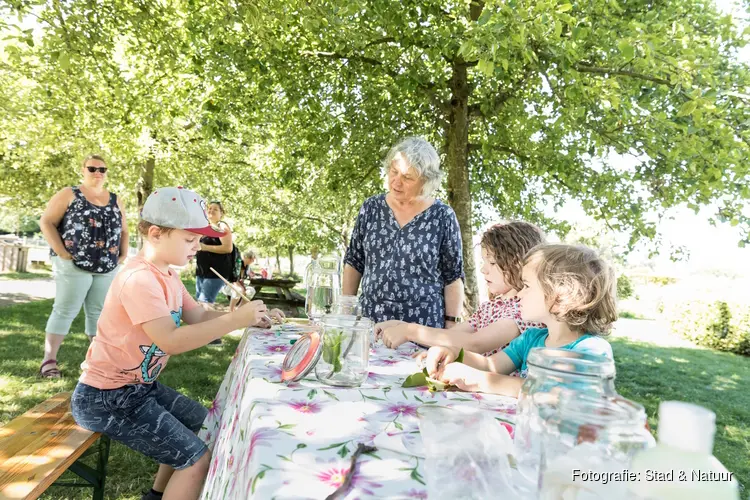 Zomeravontuur bij Stad & Natuur: Ontdek micro organismen