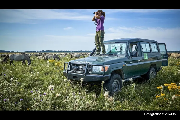 Natura 2000-beheerplan Oostvaardersplassen 2024 – 2029 vastgesteld