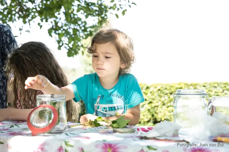 Ontdek de onzichtbare natuur tijdens het Zomerfestival 2024