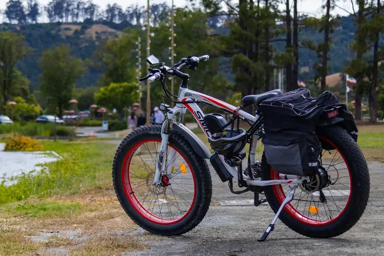 Moet je een fatbike verzekeren? We zochten het uit!