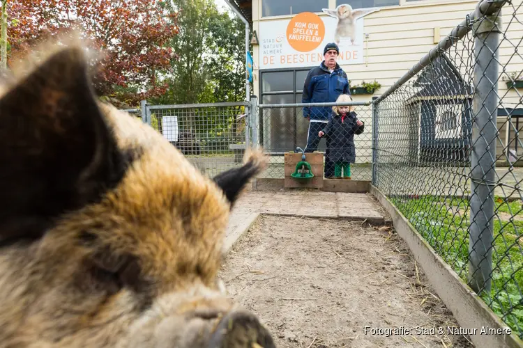 Vier Dierendag met Stad & Natuur op de Beestenbende en Den Uylpark!