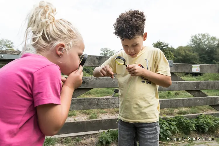 Het Grote Almeerse Natuuravontuur:  Ontdekken, beleven en overleven op de Kemphaan