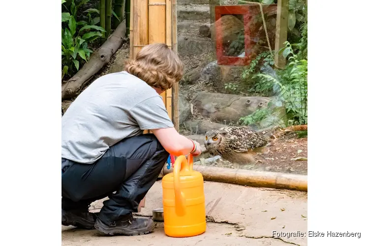 Unieke dagbesteding in een dierenpark