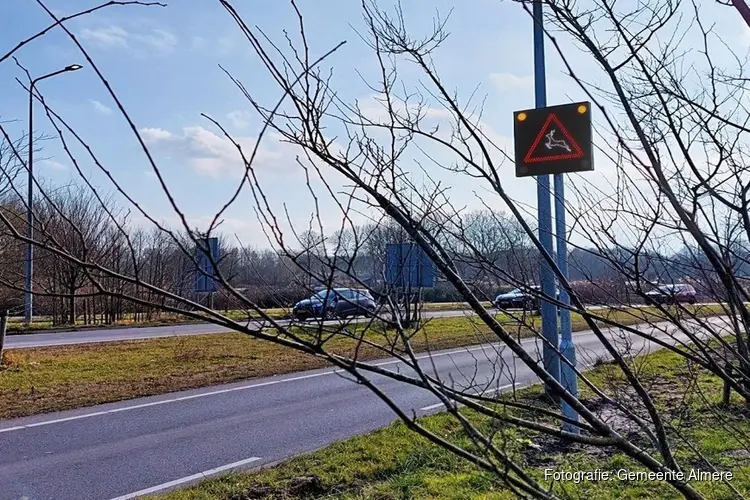 Almere opent eerste beveiligde oversteekplaats voor wilde dieren in Flevoland