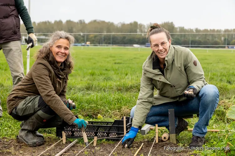 Vier de lente met Groene Pluk!