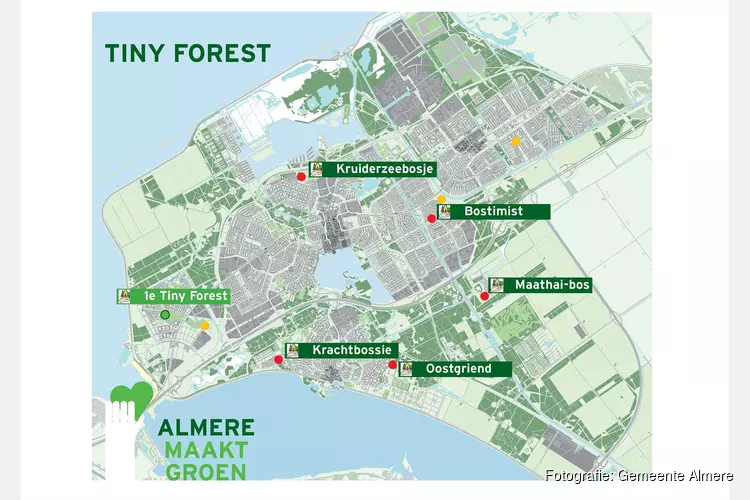 Vijf nieuwe locaties voor een Tiny Forest in Almere; mini-bosjes worden in najaar geplant