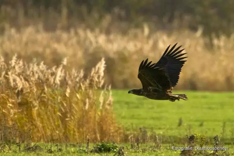 Oktober Wandelmaand in nationaal park Nieuw Land